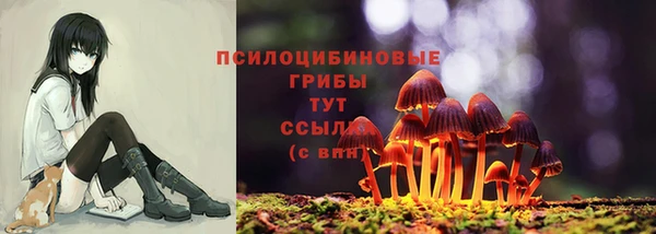синтетический гашиш Алексин