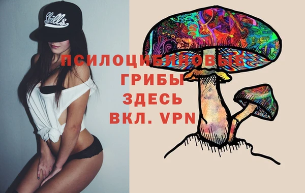 a pvp Алексеевка