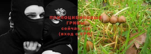 a pvp Алексеевка